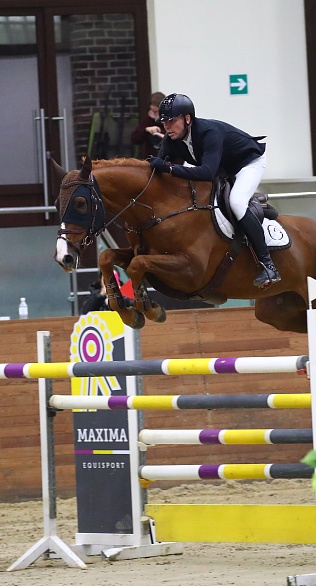 «Золото» Шемшелева MAXIMA PARK