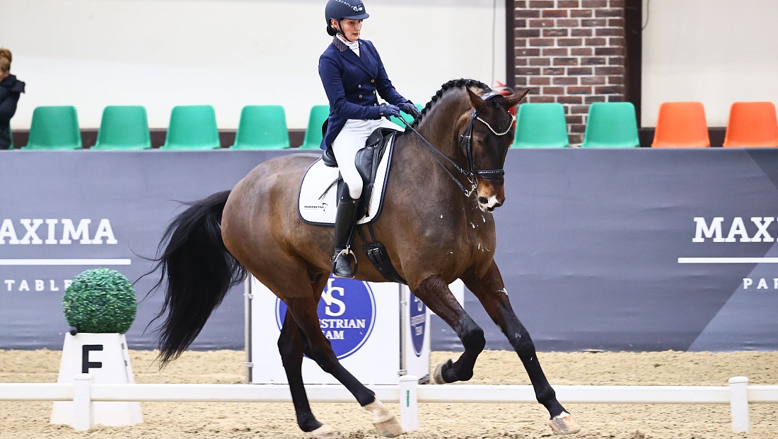 Выездка готова к Кубку России 