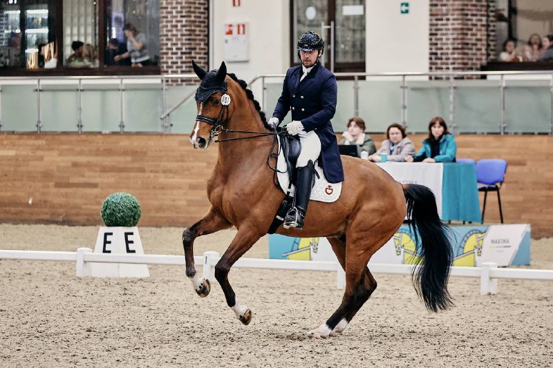 Кубок Кремля по конноспортивной выездке стартовал в Максима Парк