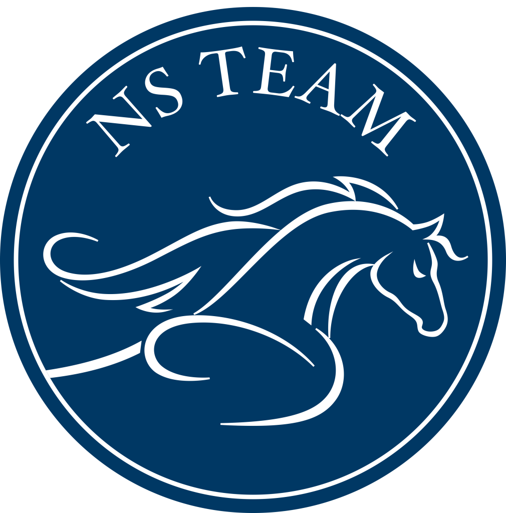 ns.png