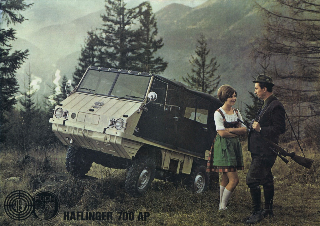 haflinger n.jpg