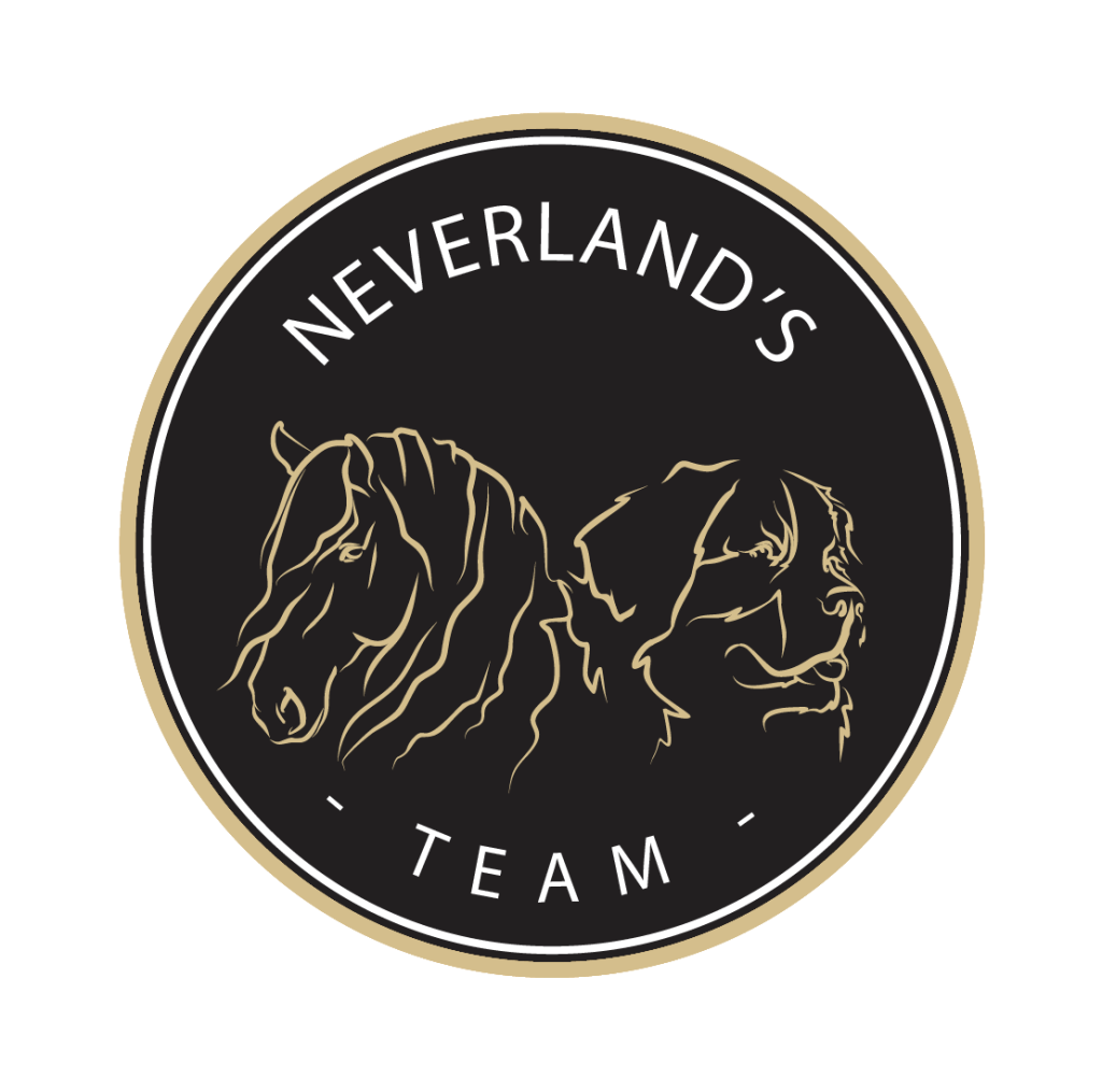 neverland.png