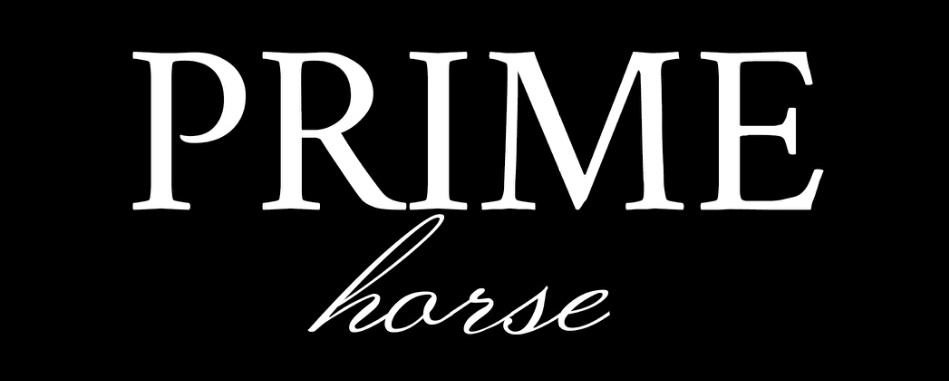 Prime horse_FullSizeRender.jpg