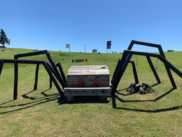 spider.jpeg spider.jpeg