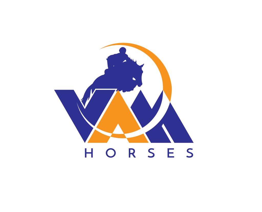 VAM_LOGOTYPE.png