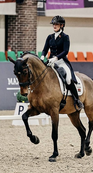 Второй день выездкового турнира завершился в MAXIMA PARK!