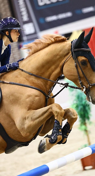 Конкуристы разыграют почти 6 миллионов