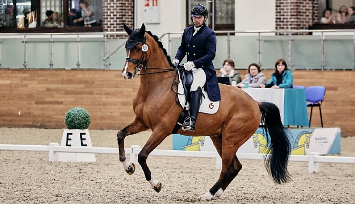 Кубок Кремля по конноспортивной выездке стартовал в Максима Парк