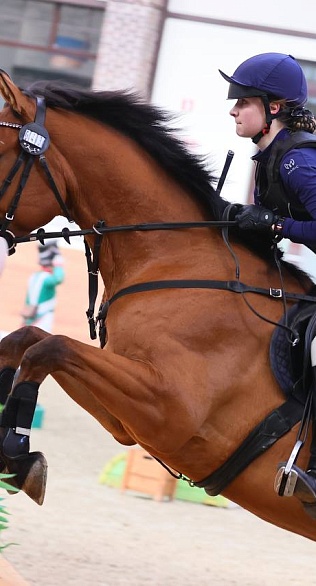 Всадники-троеборцы подтвердили готовность к Финалу Кубка Победы