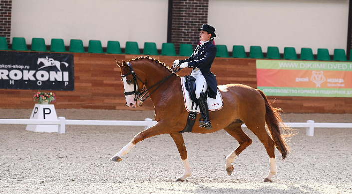 Максима эквиспорт. Maxima Equisport. Максима Стейблс.