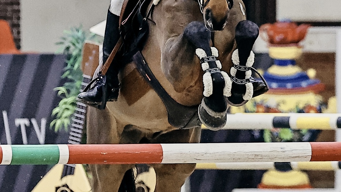 Турнир по конкуру вновь стартовал в MAXIMA PARK! 
