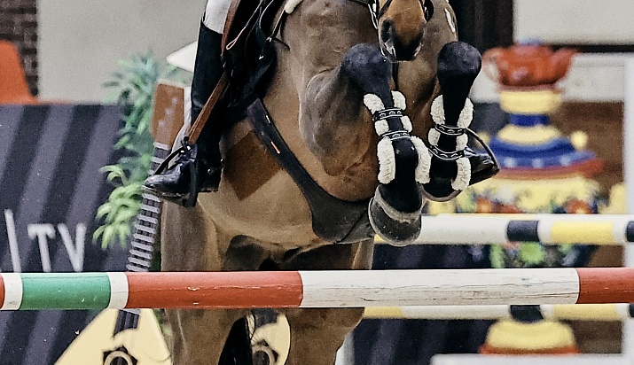 Турнир по конкуру вновь стартовал в MAXIMA PARK! 