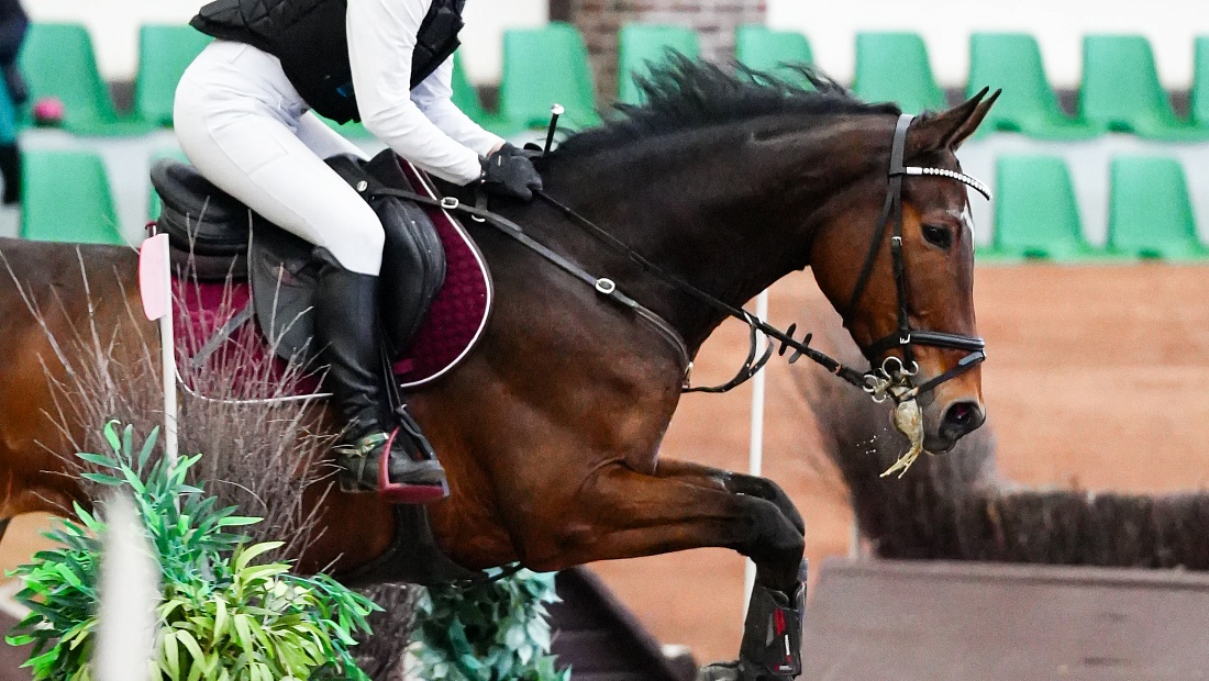 Троеборцы стартуют в MAXIMA