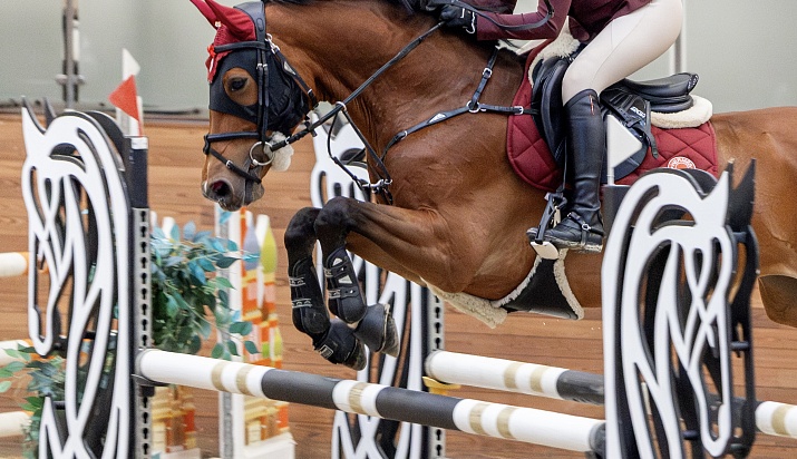 Подошел к концу второй день Кубка MAXIMA PARK по троеборью ! 