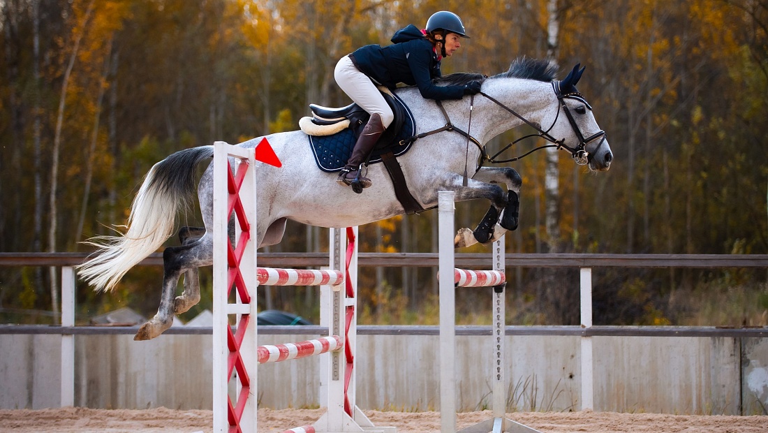 Октябрьские этапы Кубка MAXIMA PARK