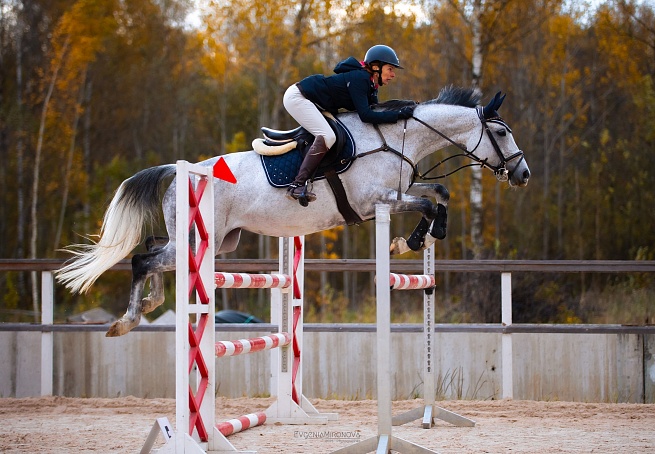 Октябрьские этапы Кубка MAXIMA PARK