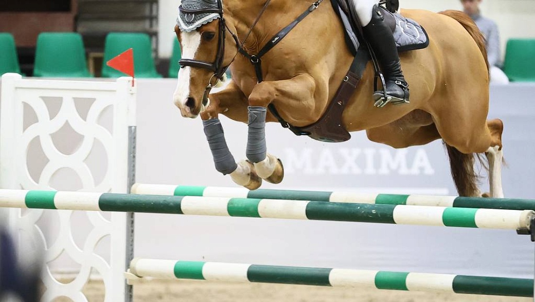 Воскресный конкур подошел к концу в MAXIMA PARK!