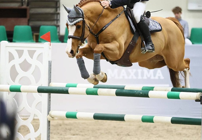 Воскресный конкур подошел к концу в MAXIMA PARK!