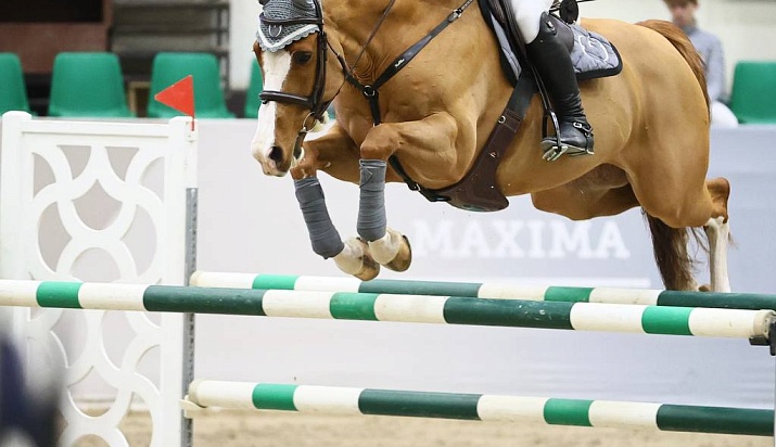 Воскресный конкур подошел к концу в MAXIMA PARK!