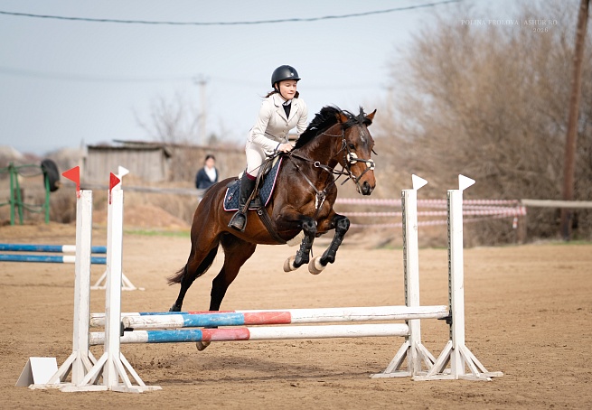 Этапы Кубка Победы прошли в Самарской и Волгоградской областях