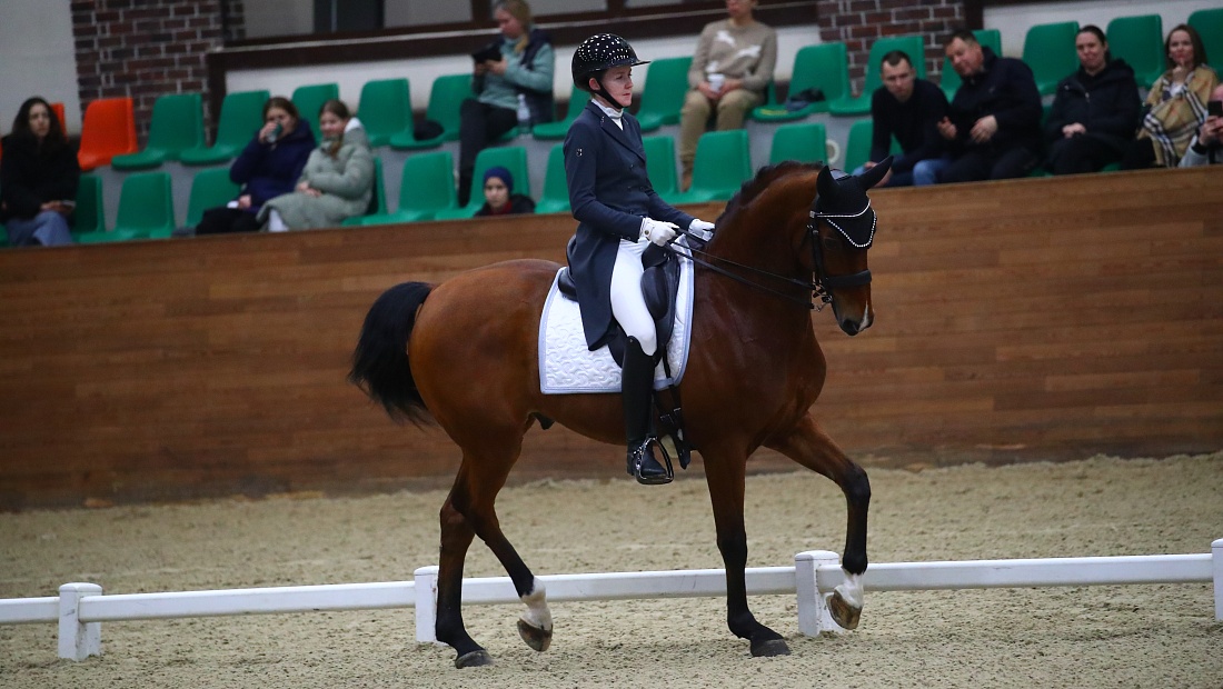 Выездка: 5 турниров в MAXIMA PARK