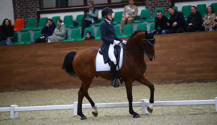 Выездка: 5 турниров в MAXIMA PARK