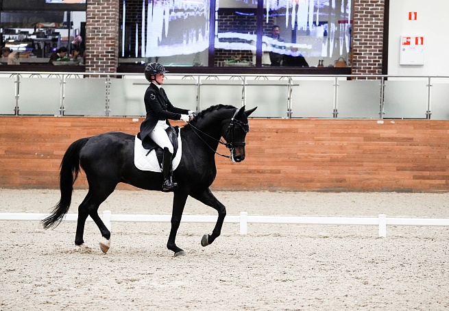 В MAXIMA PARK стартовал 2 сезон командного MAXIMA MASTERS по выездке! 