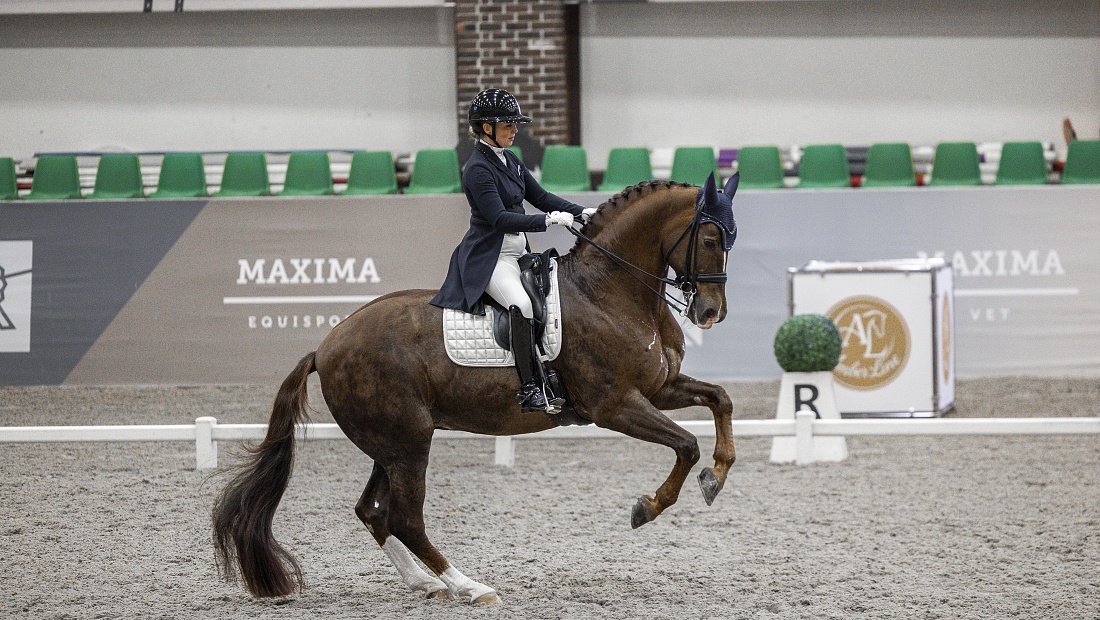Второй день выездкового турнира завершился в MAXIMA PARK!