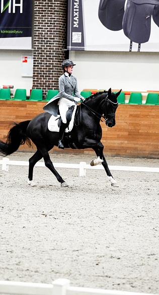 Второй день турнира по выездке завершился в MAXIMA PARK! 