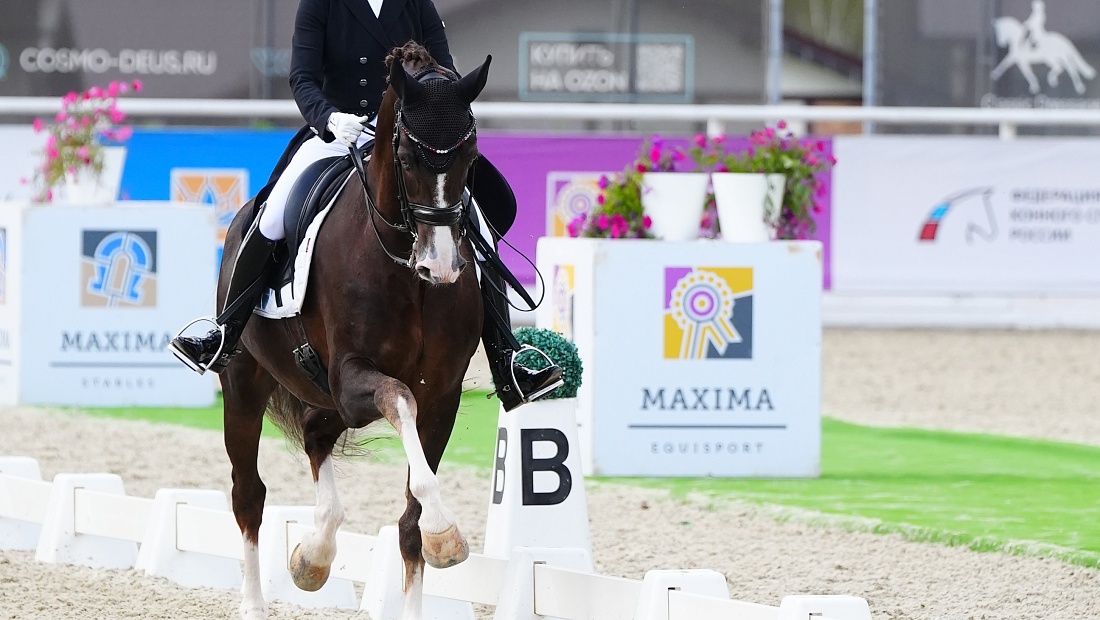 Чемпионат и Первенство России продолжается в MAXIMA PARK! 