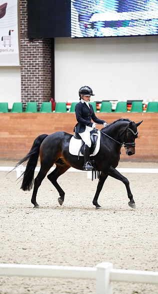 Выездка приняла эстафету зимних турниров! 