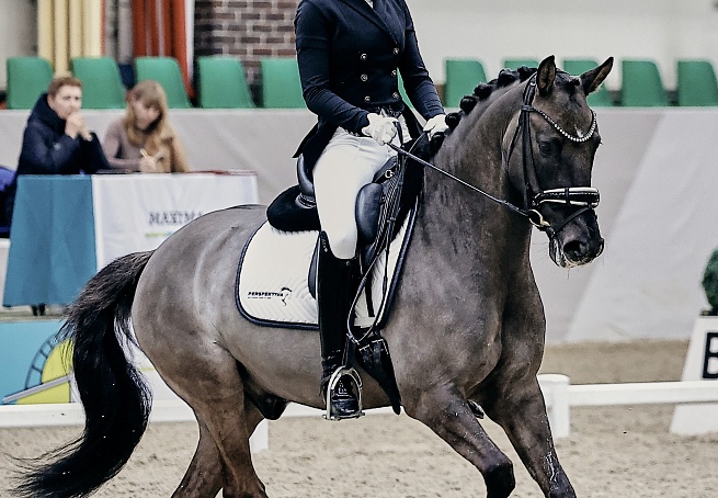 Турнир по выездке продолжается!