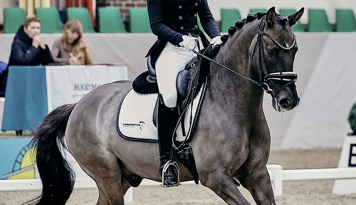 Турнир по выездке продолжается!