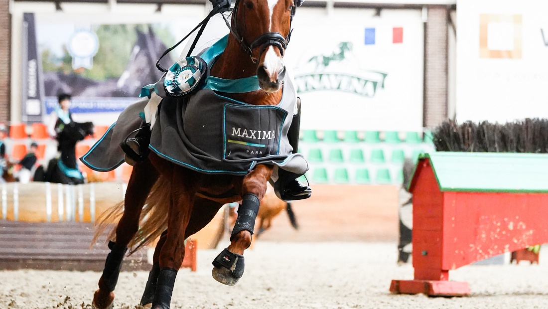 В MAXIMA PARK  завершился турнир по троеборью! 