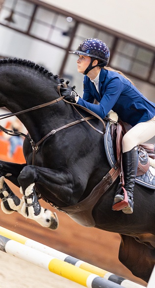 Третий день турнира по конкуру завершился в MAXIMA PARK! 