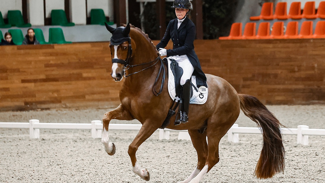 Третий день турнира по выездке завершился в MAXIMA PARK! 