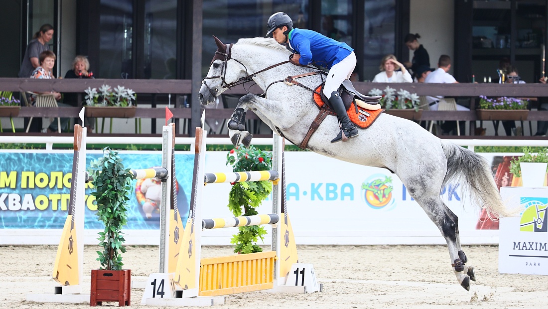 Конноспортивные старты конкуристов пройдут через неделю в Подмосковье